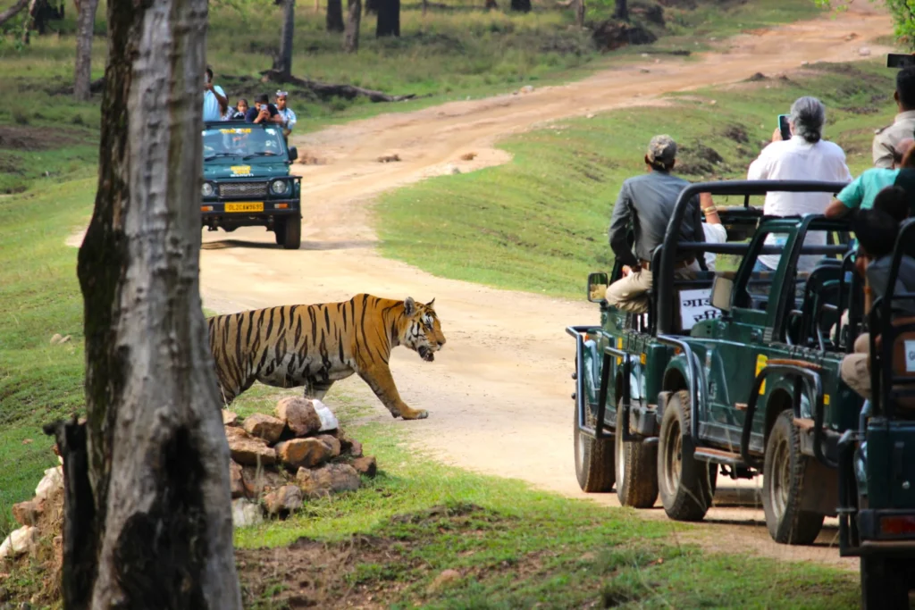 Closest Airport To Pench National Park